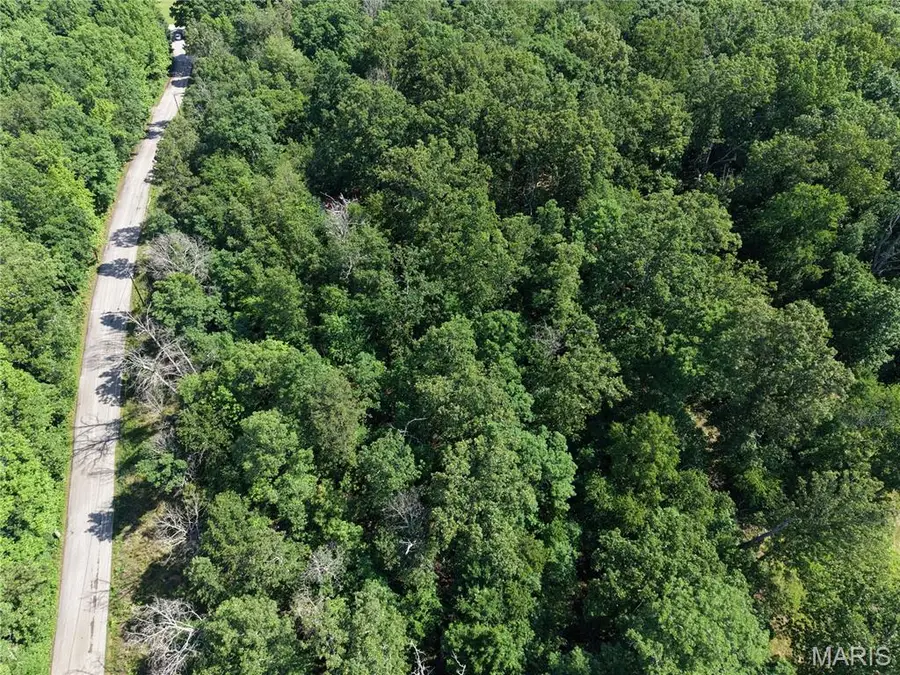 Lot 31 Radcliff Lane, Poplar Bluff, MO 63901 - #3