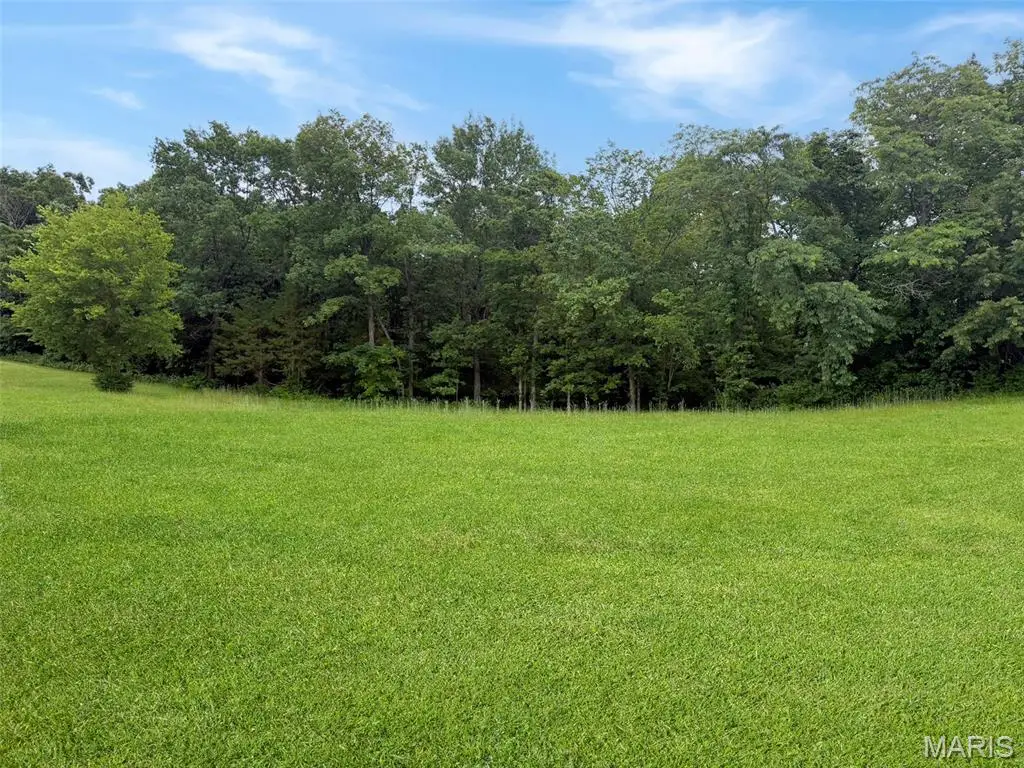 Lot 45a Mill Creek Lane, Washington, MO 63090 - #1