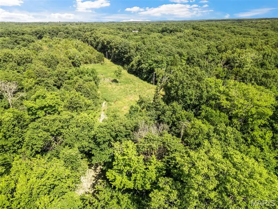 9 Acres Timber Ridge Drive, Charrette, MO 63357 - #3