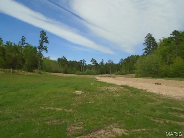 240 County Road 135, Annapolis, MO 63620 - #1