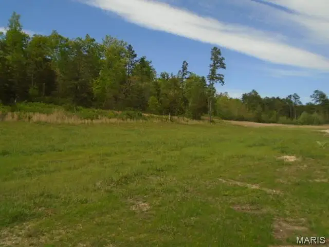 240 County Road 135, Annapolis, MO 63620 - #2
