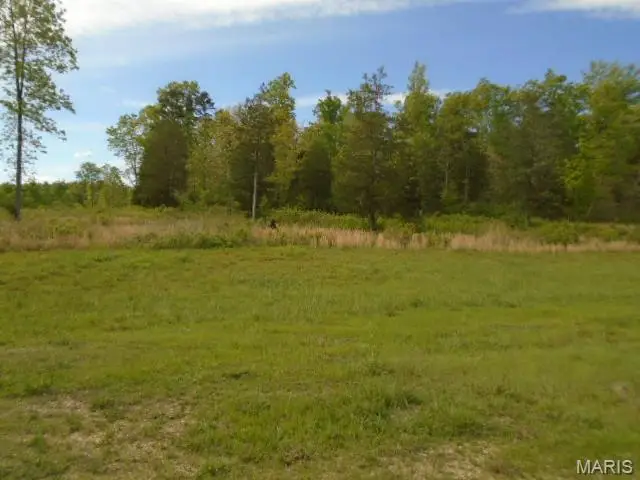 240 County Road 135, Annapolis, MO 63620 - #3