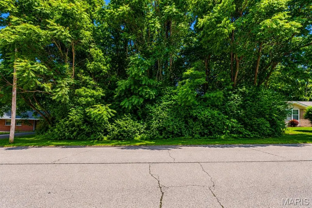 0 Montclair, Fairview Heights, IL 62208 - #1