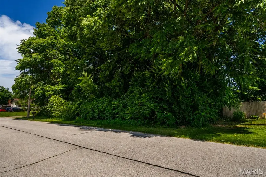 0 Montclair, Fairview Heights, IL 62208 - #3