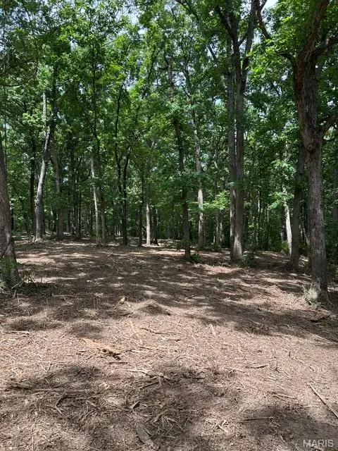 17 Hardwood Dr, Winfield, MO 63389 - #1