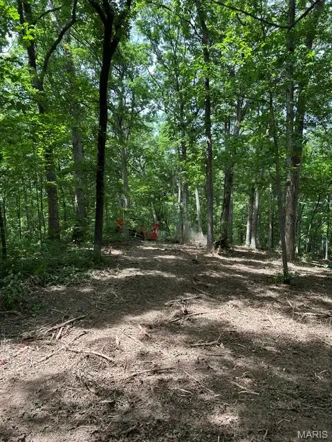 17 Hardwood Dr, Winfield, MO 63389 - #3