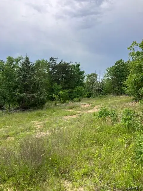 229 Madison Cr 410, Fredericktown, MO 63645 - #2