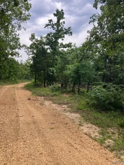 229 Madison Cr 410, Fredericktown, MO 63645 - #3