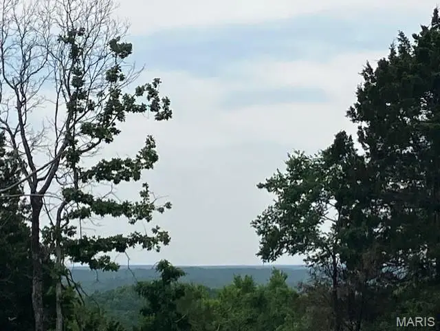 230 Madison Cr 410, Fredericktown, MO 63645 - #1