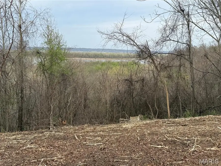 11365 River Hills Road, Festus, MO 63028 - #2