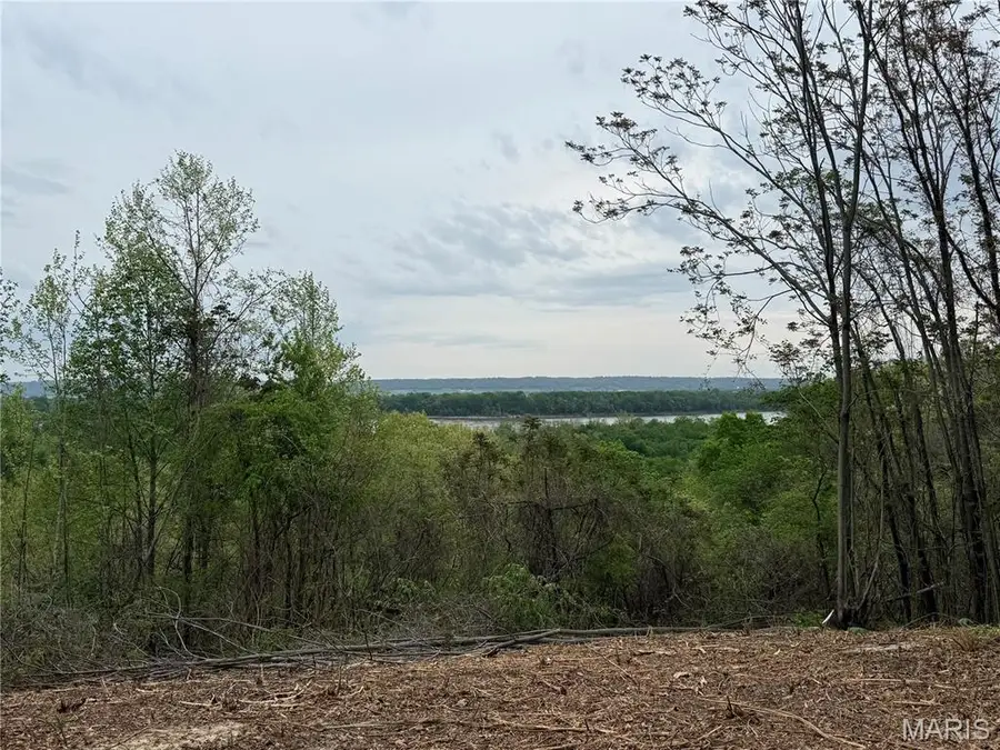 11365 River Hills Road, Festus, MO 63028 - #3