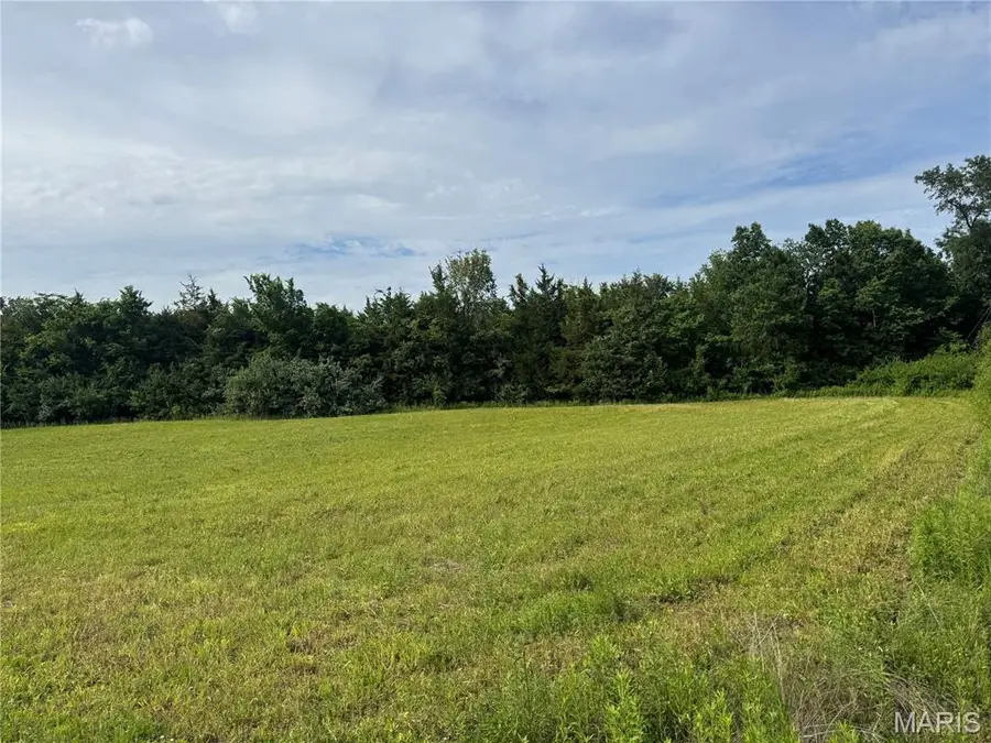 1085 Creech School Road, Moscow Mills, MO 63362 - #2