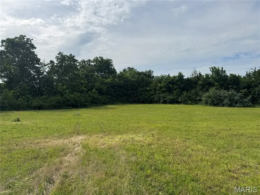 1085 Creech School Road, Moscow Mills, MO 63362 - #3