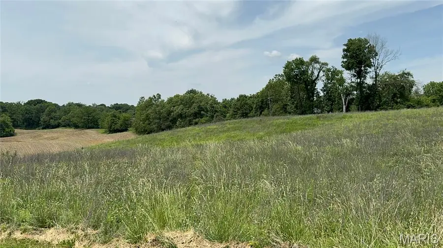 4353 Old Jamestown Winery Road, Florissant, MO 63034 - #3