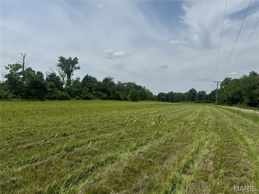 1122 Creech School Road, Moscow Mills, MO 63362 - #2