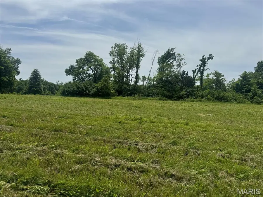 1122 Creech School Road, Moscow Mills, MO 63362 - #3