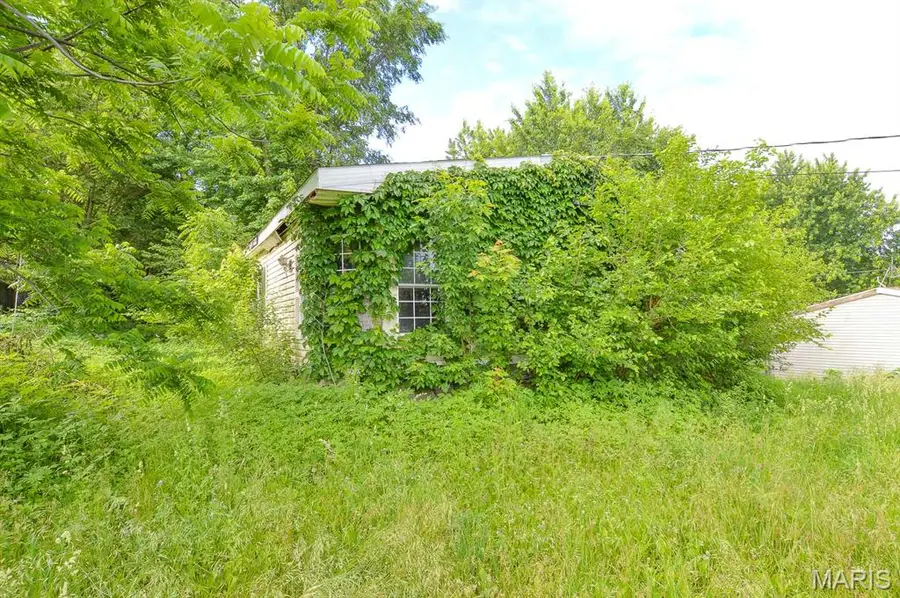 217 W Williams Street, Mount Auburn, IL 62547 - #3