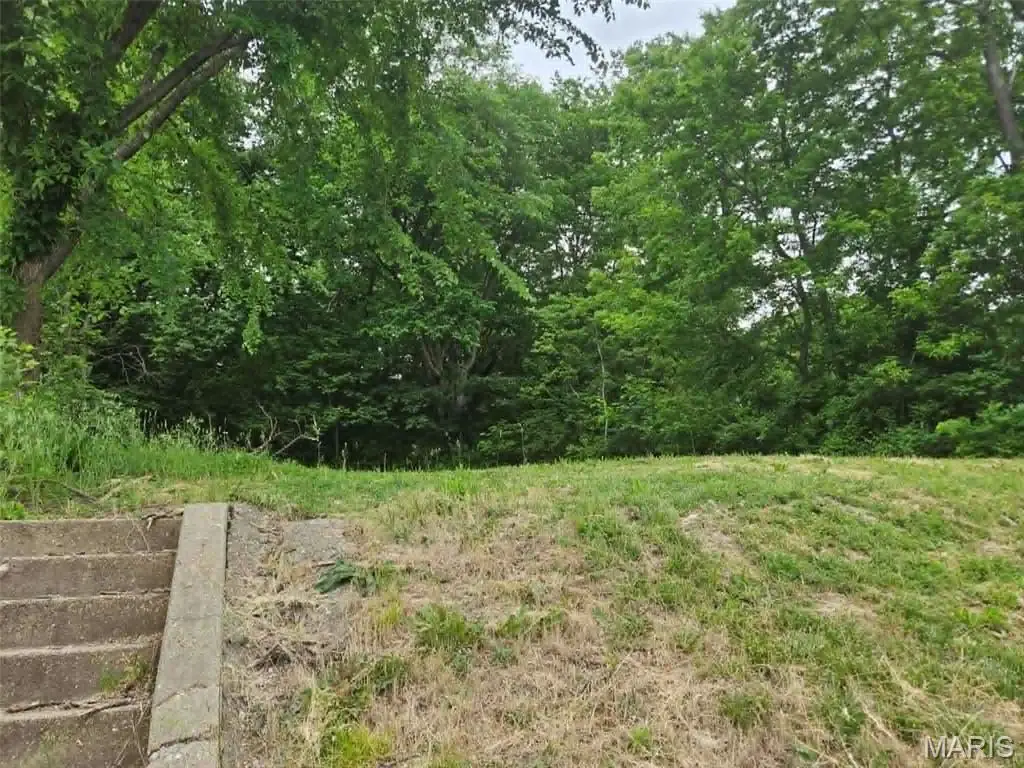 2614 Saint Marys Avenue, Hannibal, MO 63401 - #1