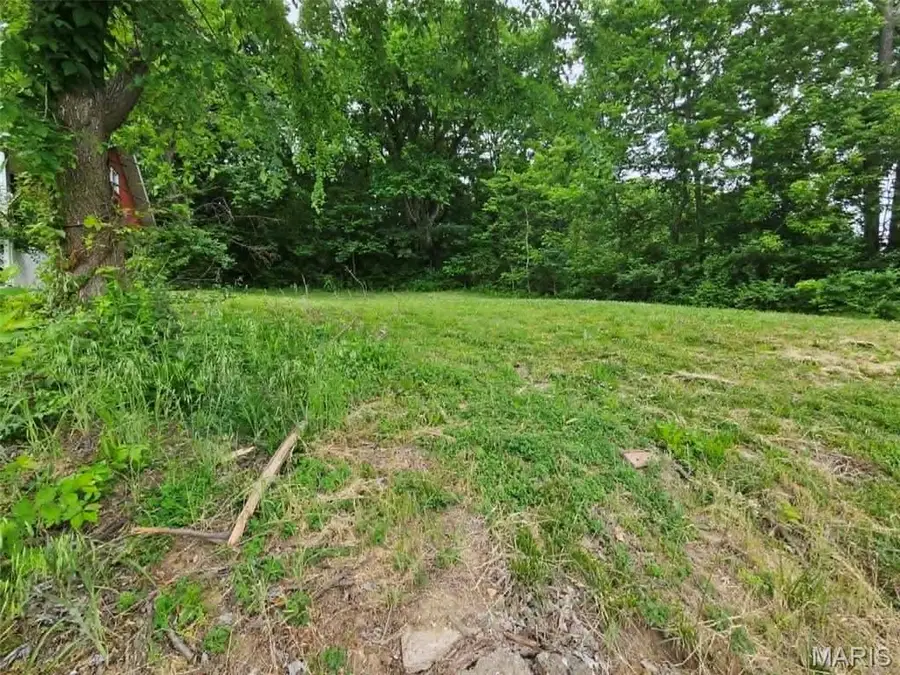 2614 Saint Marys Avenue, Hannibal, MO 63401 - #2