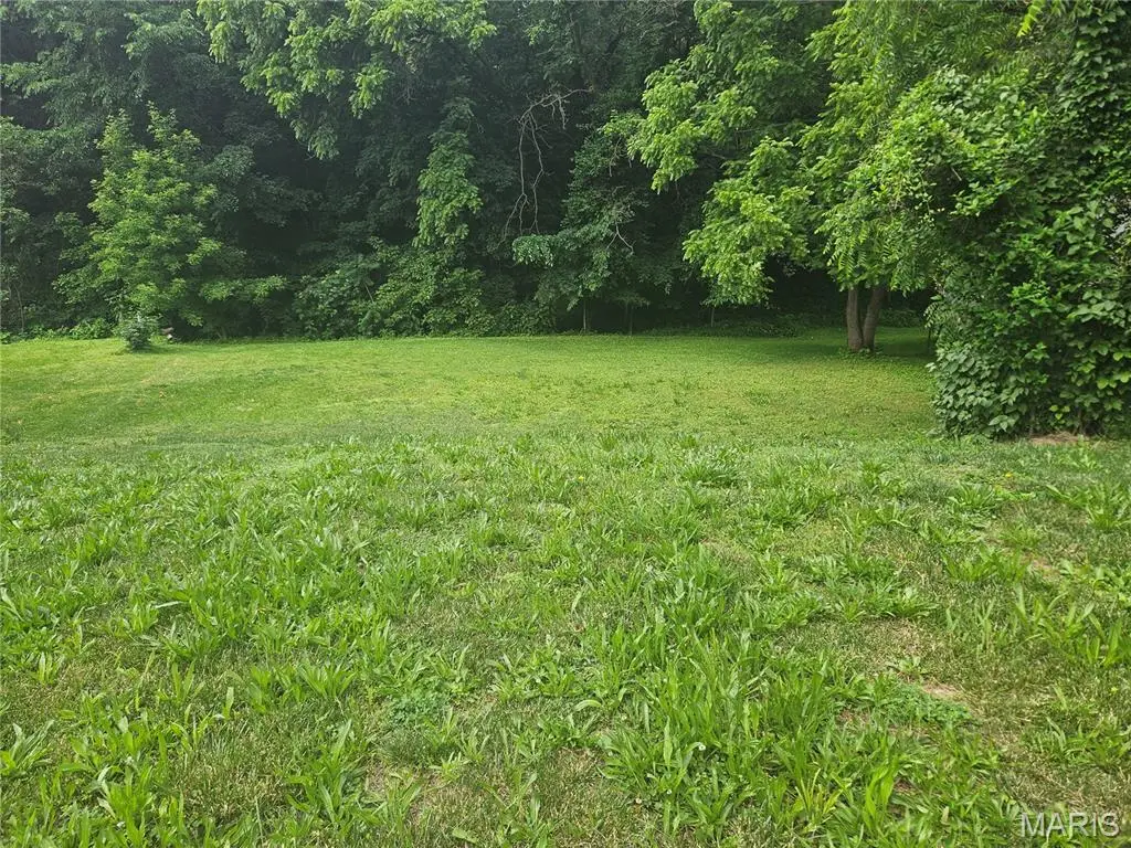 519 Riverside Street, Hannibal, MO 63401 - #1