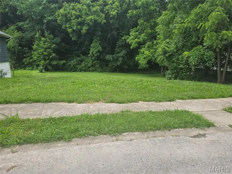519 Riverside Street, Hannibal, MO 63401 - #3