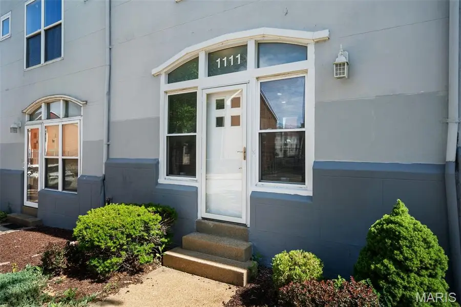 1111 Biddle Street, Saint Louis, MO 63106 - #2