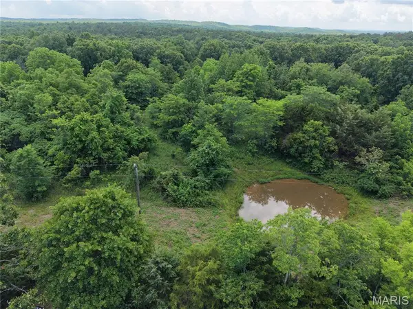 000 160 Highway, Unincorporated, MO 63942