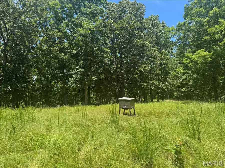 N/A S Klein Road, Cook Station, MO 65449 - #2