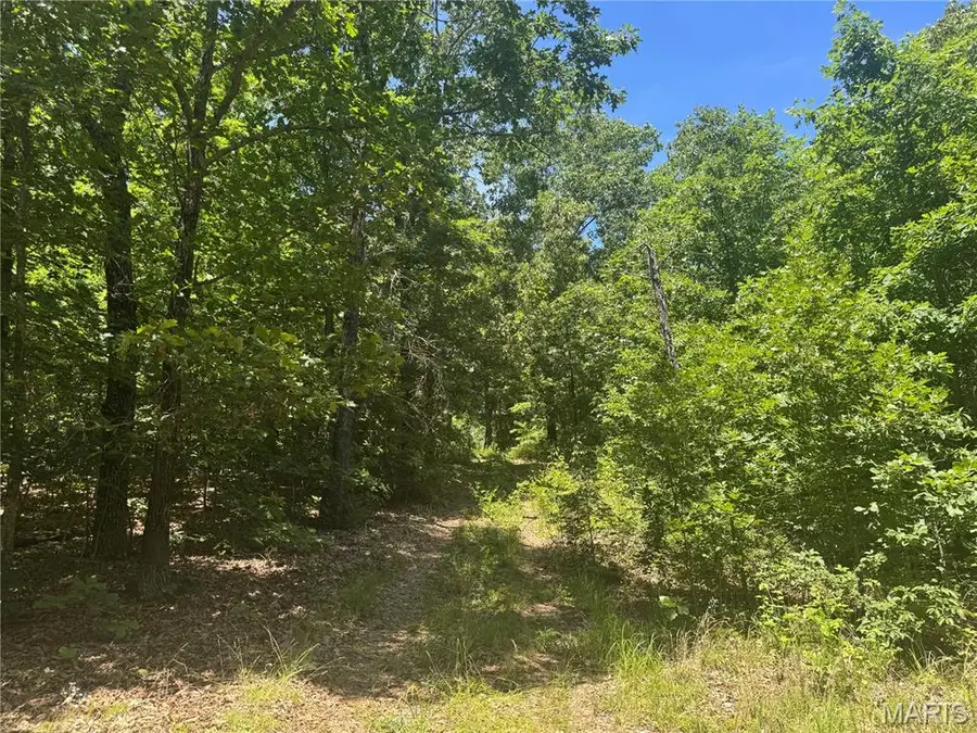 N/A S Klein Road, Cook Station, MO 65449 - #3
