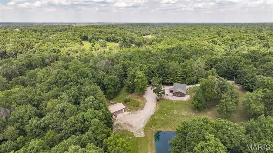 20095 Hidden Lakes Lane, Brighton, IL 62012 - #3