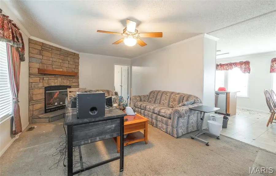 22299 Lansing Dr, Marble Hill, MO 63764 - #3