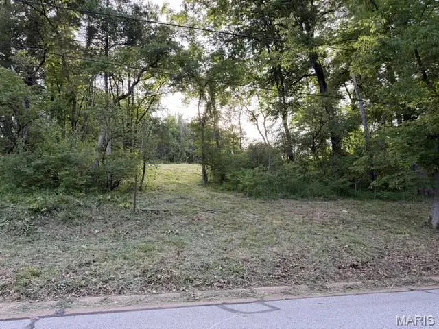 702 Salt Mill Road, Chesterfield, MO 63017 - #2