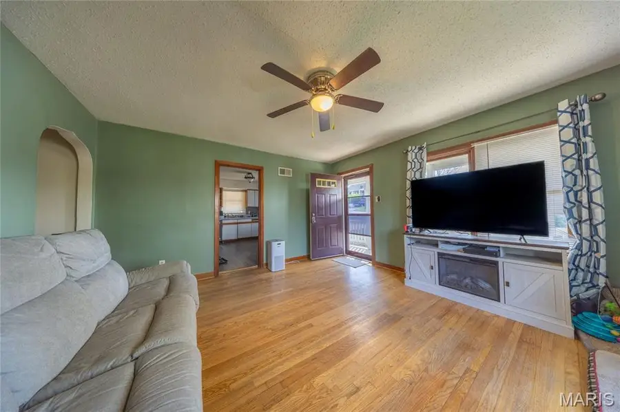 217 Donnelly Street, De Soto, MO 63020 - #3