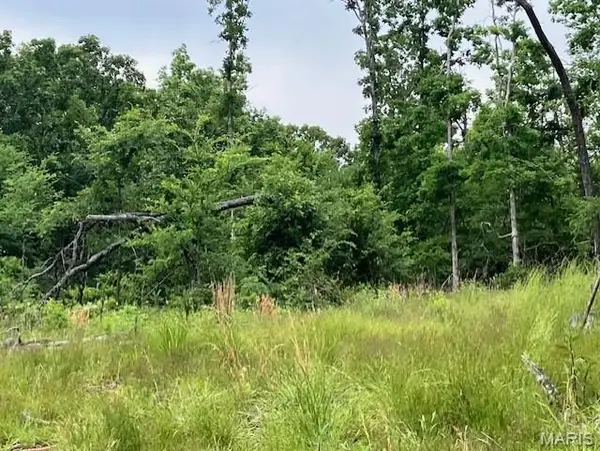 234 Madison Cr 410, Fredericktown, MO 63645