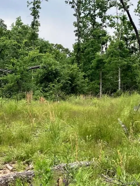 234 Madison Cr 410, Fredericktown, MO 63645 - #3