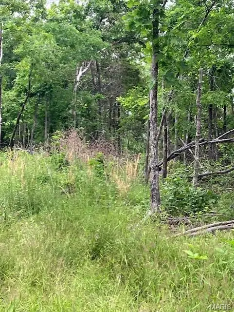 235 Madison Cr 410, Fredericktown, MO 63645 - #2