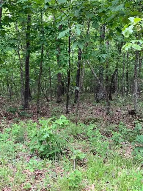 236 Madison Cr 410, Fredericktown, MO 63645 - #2