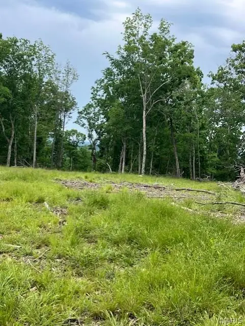 237 Madison Cr 410, Fredericktown, MO 63645 - #1