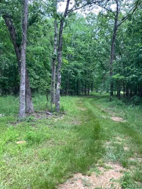 237 Madison Cr 410, Fredericktown, MO 63645 - #3