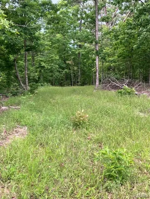 238 Madison Cr 410, Fredericktown, MO 63645 - #1