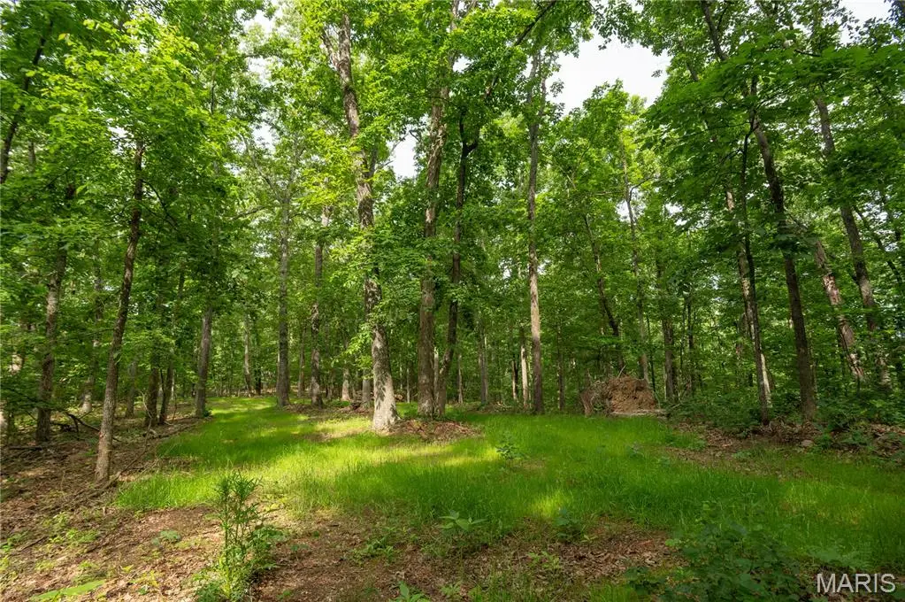 TBD Wayne, Piedmont, MO 63957 - #1