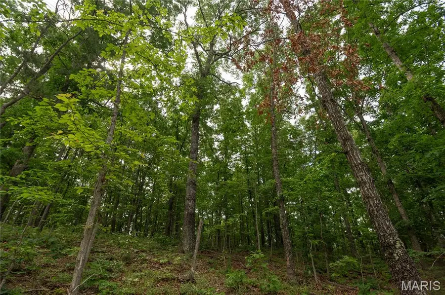 TBD Wayne, Piedmont, MO 63957 - #3