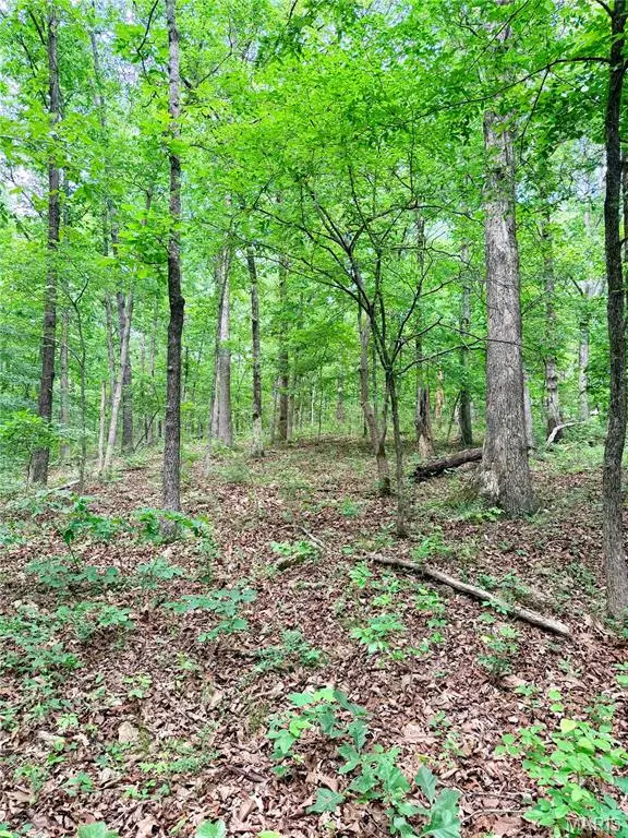 0 County Road 450, Poplar Bluff, MO 63901 - #1