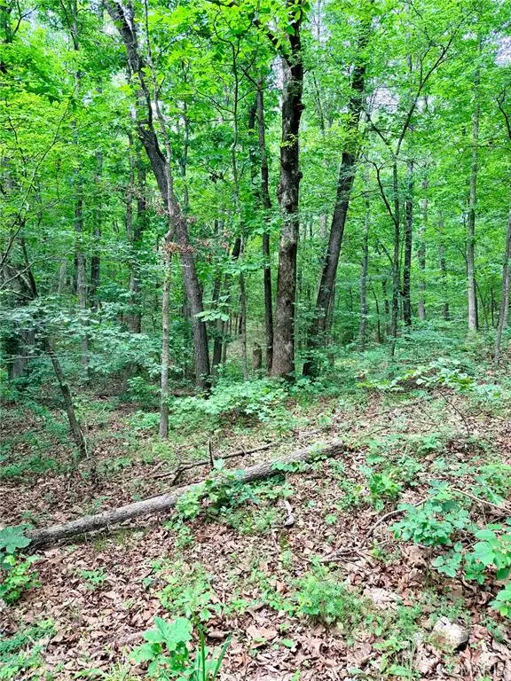 0 County Road 450, Poplar Bluff, MO 63901 - #2