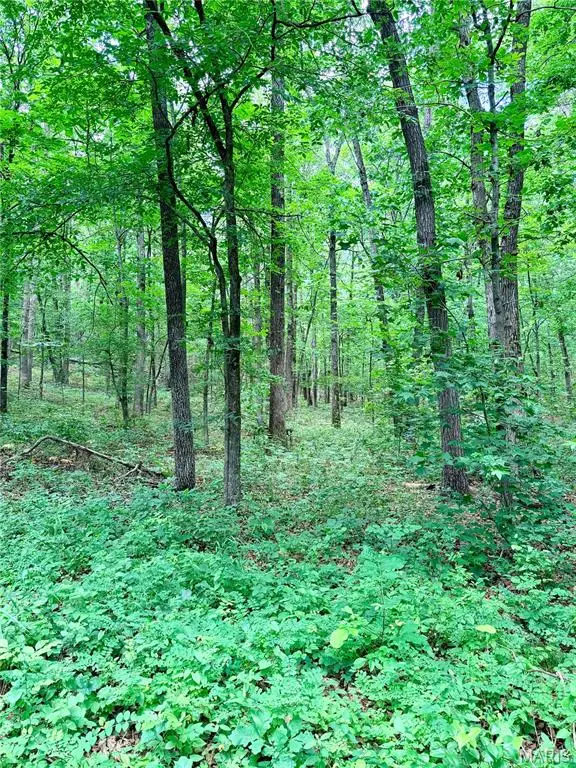0 County Road 450, Poplar Bluff, MO 63901 - #3