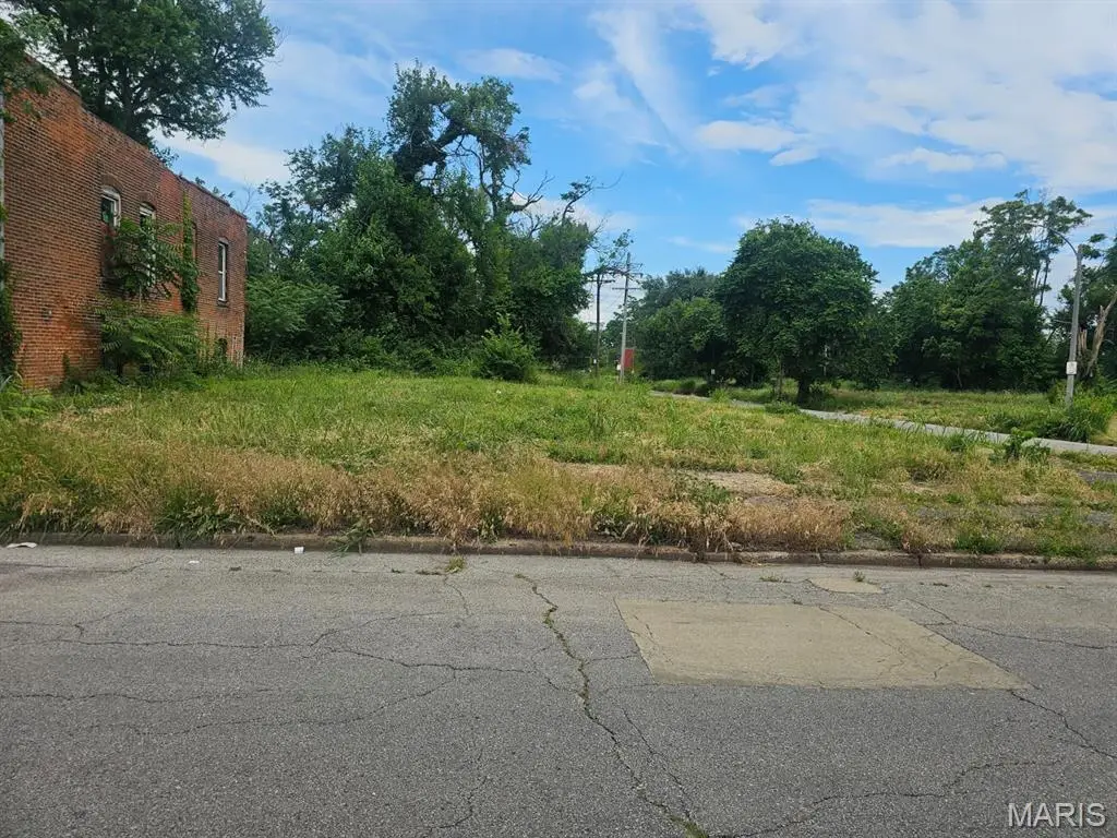1704 Annie Malone Drive, Saint Louis, MO 63113 - #1