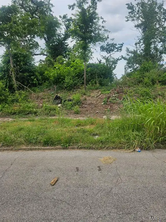 4523 Maffitt Avenue, Saint Louis, MO 63113 - #3