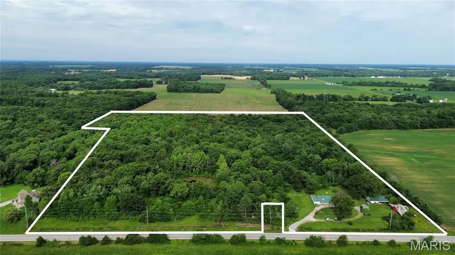 1669 Us Hwy 45, Cisne, IL 62823 - #2