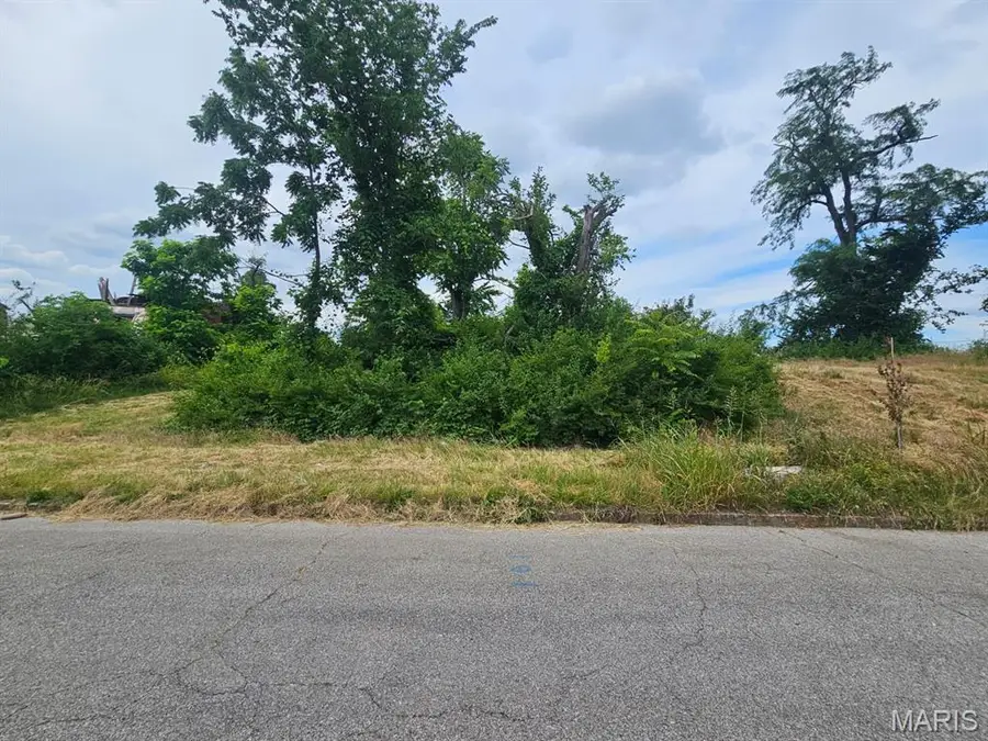 4517 Maffitt Avenue, Saint Louis, MO 63113 - #2