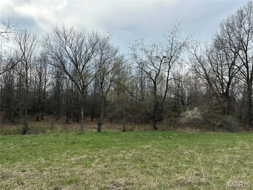 20 Route N, Monroe City, MO 63456 - #1